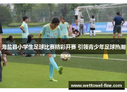 海盐县小学生足球比赛精彩开赛 引领青少年足球热潮